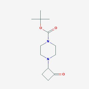 molecular formula C13H22N2O3 B13586553 Tert-butyl 4-(2-oxocyclobutyl)piperazine-1-carboxylate CAS No. 2093427-37-1