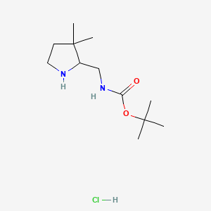 molecular formula C12H25ClN2O2 B13586651 tert-butylN-[(3,3-dimethylpyrrolidin-2-yl)methyl]carbamatehydrochloride 
