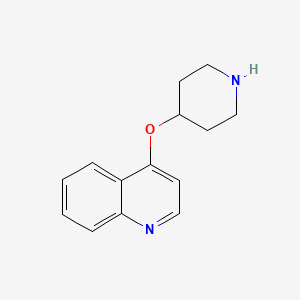 molecular formula C14H16N2O B13586863 4-(Piperidin-4-yloxy)quinoline 