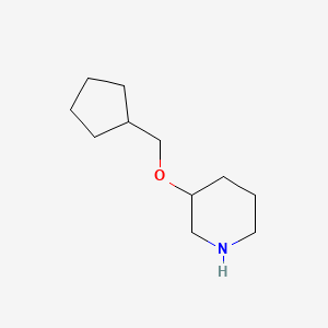 molecular formula C11H21NO B13588228 3-(Cyclopentylmethoxy)piperidine CAS No. 933736-27-7