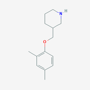 molecular formula C14H21NO B1358872 3-[(2,4-Dimethylphenoxy)methyl]piperidine CAS No. 946713-14-0