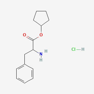 molecular formula C14H20ClNO2 B13588723 Cyclopentyl 2-amino-3-phenylpropanoate hydrochloride 