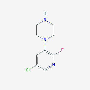 molecular formula C9H11ClFN3 B13588943 1-(5-Chloro-2-fluoropyridin-3-yl)piperazine 