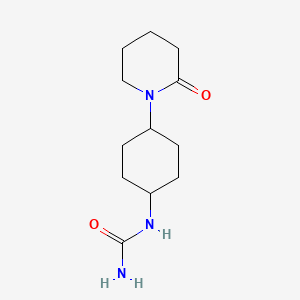 molecular formula C12H21N3O2 B13590183 [4-(2-Oxopiperidin-1-yl)cyclohexyl]urea 