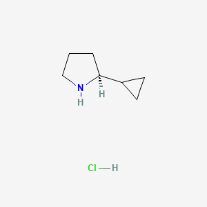 molecular formula C7H14ClN B13592661 (S)-2-cyclopropylpyrrolidine HCl 