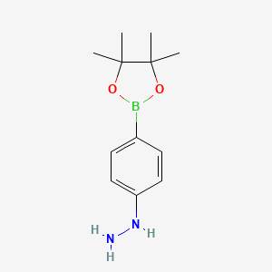 molecular formula C12H19BN2O2 B13593517 (4-(4,4,5,5-Tetramethyl-1,3,2-dioxaborolan-2-YL)phenyl)hydrazine 
