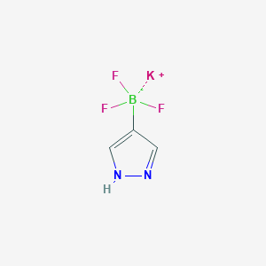 molecular formula C3H3BF3KN2 B1359444 1H-吡唑-4-三氟硼酸钾 CAS No. 1111732-81-0