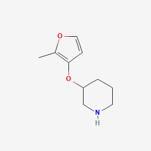 molecular formula C10H15NO2 B13596955 3-[(2-Methylfuran-3-yl)oxy]piperidine 