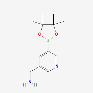 molecular formula C12H19BN2O2 B13598753 (5-(4,4,5,5-Tetramethyl-1,3,2-dioxaborolan-2-YL)pyridin-3-YL)methanamine 