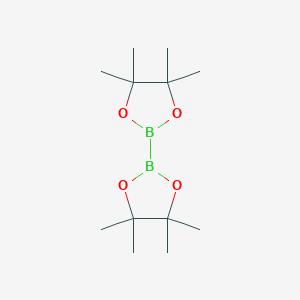molecular formula C12H24B2O4 B136004 Bis(pinacolato)diborane CAS No. 73183-34-3