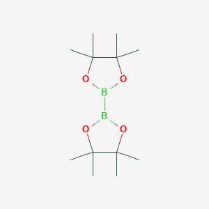molecular formula C12H24B2O4 B136004 Bis(pinacolato)diboron CAS No. 73183-34-3