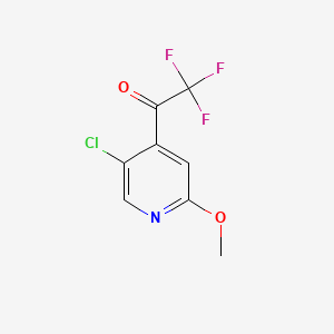 molecular formula C8H5ClF3NO2 B13601222 1-(5-Chloro-2-methoxypyridin-4-yl)-2,2,2-trifluoroethanone 