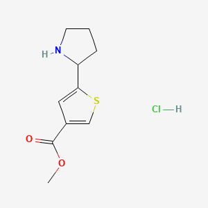 molecular formula C10H14ClNO2S B13606370 Methyl5-(pyrrolidin-2-yl)thiophene-3-carboxylatehydrochloride 