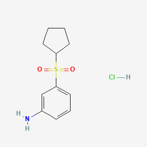 molecular formula C11H16ClNO2S B13606798 3-(Cyclopentanesulfonyl)anilinehydrochloride 