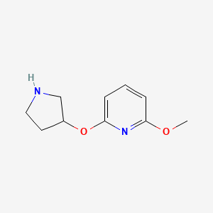 molecular formula C10H14N2O2 B13609250 2-Methoxy-6-(pyrrolidin-3-yloxy)pyridine 