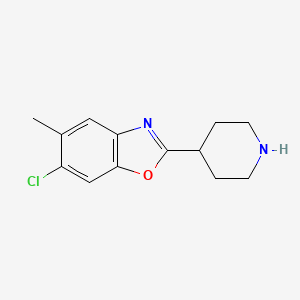 molecular formula C13H15ClN2O B1360972 6-氯-5-甲基-2-哌啶-4-基-1,3-苯并恶唑 CAS No. 1035840-69-7