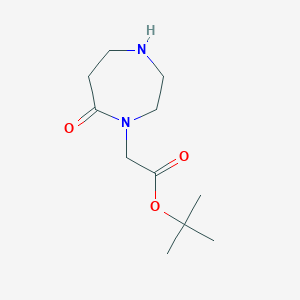 molecular formula C11H20N2O3 B13610002 Tert-butyl 2-(7-oxo-1,4-diazepan-1-yl)acetate 