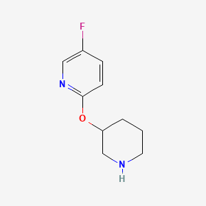 molecular formula C10H13FN2O B13610180 5-Fluoro-2-(piperidin-3-yloxy)pyridine 