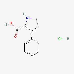 molecular formula C11H14ClNO2 B13610624 rac-(2R,3R)-3-phenylpyrrolidine-2-carboxylicacidhydrochloride 