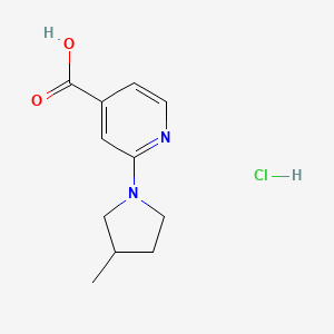 molecular formula C11H15ClN2O2 B13610802 2-(3-Methylpyrrolidin-1-yl)pyridine-4-carboxylicacidhydrochloride 