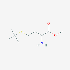 molecular formula C9H19NO2S B13616208 Methyl s-(tert-butyl)homocysteinate 