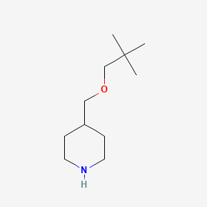 molecular formula C11H23NO B1361670 4-[(Neopentyloxy)methyl]piperidine CAS No. 883544-58-9