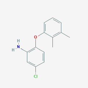 molecular formula C14H14ClNO B1361692 5-Chloro-2-(2,3-dimethylphenoxy)aniline CAS No. 893750-96-4
