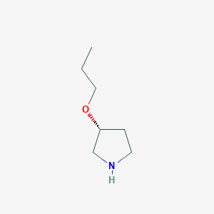 molecular formula C7H15NO B1361715 (R)-3-Propoxy-pyrrolidine CAS No. 849924-75-0