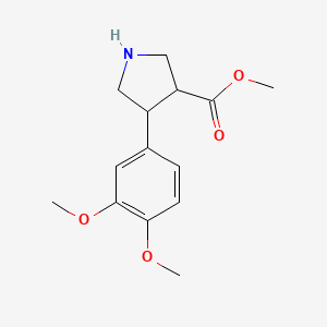 molecular formula C14H19NO4 B13619523 Methyl 4-(3,4-dimethoxyphenyl)pyrrolidine-3-carboxylate 