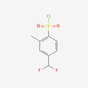 molecular formula C8H7ClF2O2S B13619699 4-(Difluoromethyl)-2-methylbenzene-1-sulfonyl chloride 