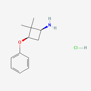 molecular formula C12H18ClNO B13621322 rac-(1R,3S)-2,2-dimethyl-3-phenoxycyclobutan-1-amine hydrochloride 
