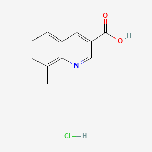 molecular formula C11H10ClNO2 B13622444 8-Methylquinoline-3-carboxylicacidhydrochloride 