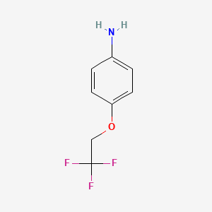 molecular formula C8H8F3NO B1362295 4-(2,2,2-Trifluoroethoxy)aniline CAS No. 57946-61-9