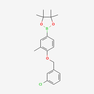 molecular formula C20H24BClO3 B13623086 2-[4-[(3-Chlorophenyl)methoxy]-3-methyl-phenyl]-4,4,5,5-tetramethyl-1,3,2-dioxaborolane 
