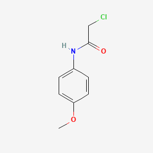 molecular formula C9H10ClNO2 B1362473 2-Chloro-N-(4-methoxyphenyl)acetamide CAS No. 22303-36-2