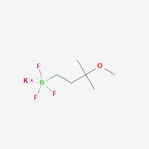 molecular formula C6H13BF3KO B13624887 Potassium trifluoro(3-methoxy-3-methylbutyl)borate 