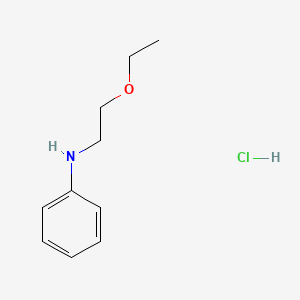 molecular formula C10H16ClNO B13624970 N-(2-ethoxyethyl)anilinehydrochloride 