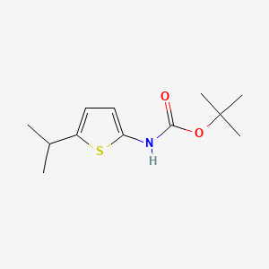 molecular formula C12H19NO2S B13625964 tert-butylN-[5-(propan-2-yl)thiophen-2-yl]carbamate 