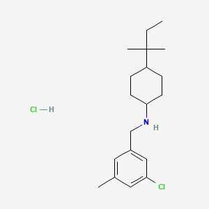 molecular formula C19H31Cl2N B13632069 N-[(3-chloro-5-methylphenyl)methyl]-4-(2-methylbutan-2-yl)cyclohexan-1-amine hydrochloride 