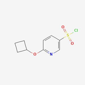 molecular formula C9H10ClNO3S B13640095 6-Cyclobutoxypyridine-3-sulfonyl chloride 