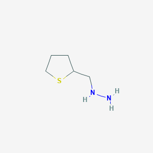 molecular formula C5H12N2S B13640934 ((Tetrahydrothiophen-2-yl)methyl)hydrazine 