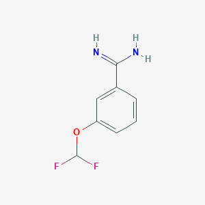 molecular formula C8H8F2N2O B13643999 3-(Difluoromethoxy)benzimidamide 