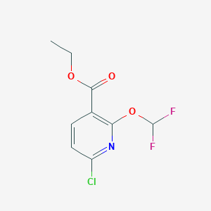 molecular formula C9H8ClF2NO3 B13650197 Ethyl 6-chloro-2-(difluoromethoxy)nicotinate 