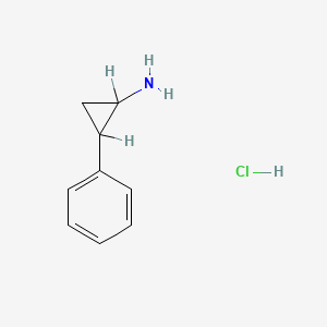 B1365256 2-Phenylcyclopropanamine hydrochloride CAS No. 61-81-4