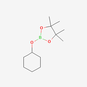 molecular formula C12H23BO3 B1365261 2-(Cyclohexyloxy)-4,4,5,5-tetramethyl-1,3,2-dioxaborolane CAS No. 96649-78-4