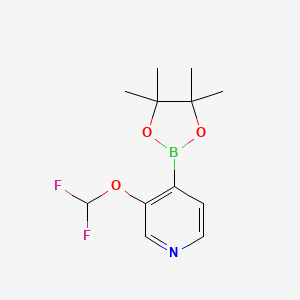 molecular formula C12H16BF2NO3 B13662180 3-(Difluoromethoxy)-4-(4,4,5,5-tetramethyl-1,3,2-dioxaborolan-2-yl)pyridine 