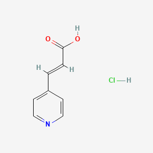 molecular formula C8H8ClNO2 B13662468 (E)-3-(Pyridin-4-yl)acrylic acid hydrochloride 