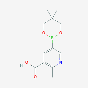 molecular formula C12H16BNO4 B13663985 5-(5,5-Dimethyl-1,3,2-dioxaborinan-2-yl)-2-methylnicotinic acid 