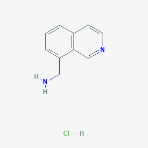 molecular formula C10H11ClN2 B13664974 Isoquinolin-8-ylmethanamine hydrochloride 
