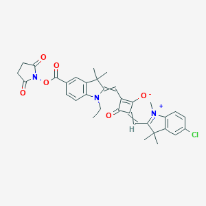 molecular formula C34H32ClN3O6 B136673 SQ-NHS CAS No. 154161-81-6